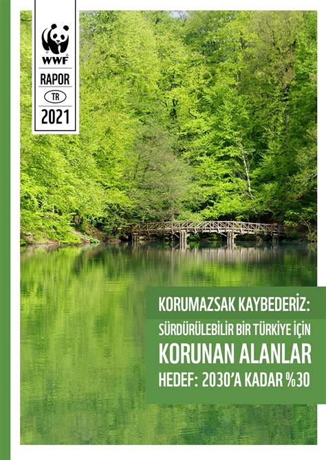 Doğal Yaşamı Koruma Vakıfları ve Dernekleri: Doğal Alanların Korunması İçin Çalışmalar